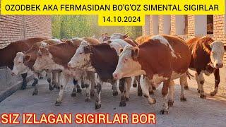 FERMADAN SIMENTAL SIGIRLAR  va NEMIS SIGIRLAR BO'G'OZLAR SOTILADI @Hikmatillo_uz