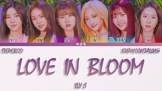 ILY:1 - LOVE IN BLOOM [ПЕРЕВОД/КИРИЛЛИЗАЦИЯ/COLOR CODED LYRICS]