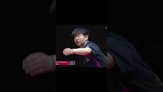 莎头VS松岛美和，不打到11:9不算完！（3）【多哈世乒赛】 #乒乓球#tabletennis #pingpong #卓球 #乒乓