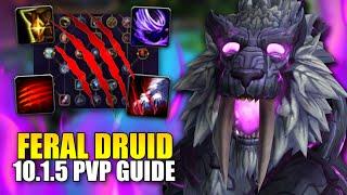 10.1.7 Feral Druid Dragonflight PvP Guide | Talents, Rotation, BIS Gear and MORE!