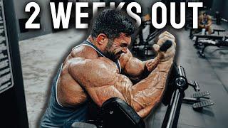 Mr. Olympia SHOULDER & ARM WORKOUT | 2 weeks out | 2024 Mr. Olympia