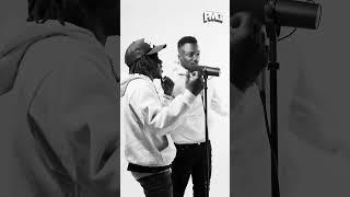 STMG DEM GUYZ - DOME SHUFFLE (PMG Performance)