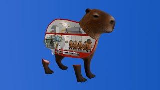 How a capybara works