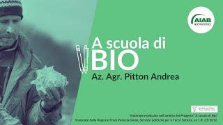 A scuola di Bio: orticoltura biologica