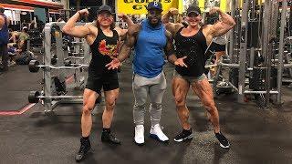 Helle Trevino - Biceps & Triceps Pro Workout