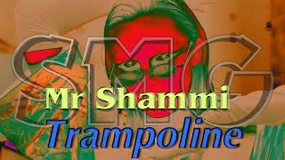 Mr Shammi  - Trampoline (Martik C - Rmx)