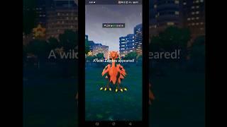 Catch a legendary Pokemon #in a wild#use the insense#pokemon go#short video