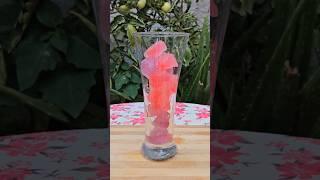 Pink Fizzy Lemonade #lemonade #summerdrink #drinksforsummer #lemonaderecipe #drinkrecipes