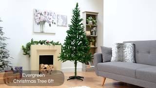 Robert Dyas Evergreen Christmas Tree (6ft)