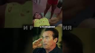 ЛЮБЫМЫЕ Упражнения Арнольда на грудь #tiktok #shorts #sport