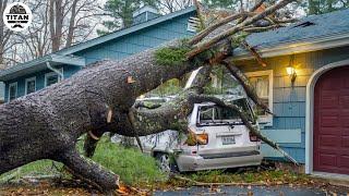 Dangerous Fastest Idiots Cutting Tree Fails Skill With Chainsaw | Tree Falling on Houses #4