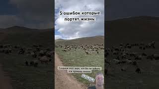 Мудрость - пять ошибок жизни #мудрость #цитаты #истина #мудрец #жизнь #веды #мантра