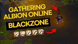 ️ ALBION ONLINE GATHERING ️ BLACK ZONE GATHERING | COLETA ALBION ONLINE NA BLACK ️ #08