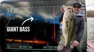 SIMPLE FFS Tips To Help You Catch GIANT Bass || How To Livescope Bass