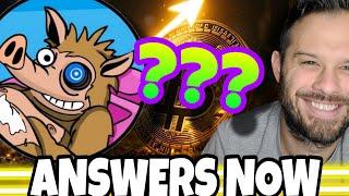 Snorter Token Questions Answered! This Solana Trading Bot Will Be The Best Out There!