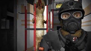 YOU CONTAIN THE SCPS! - SCP Containment Breach Nine Tailed Fox Mod