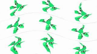 Rai 3 Nuovi Bumper Effects DWTF Csupo Effects EDITION PLEASE NO COPYRIGHT