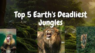 Exploring Top 5 Earth's Deadliest Jungles: Tsingy & Crooked Forests Unveiled