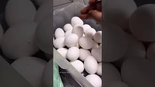 Monthly Grocery Shopping #house #cooking #minivlog #shopping #lunch #monthly #tamil #recipe