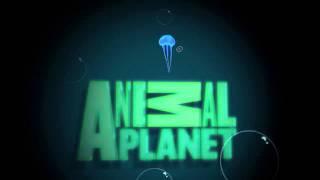 Animal Planet intro