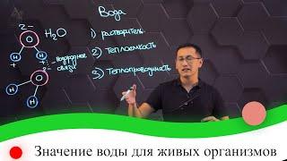 Значение воды для живых организмов. 7 класс.