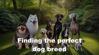 Building A Dog Breed Finder | GPTScript