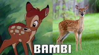 Bambi Characters in Real Life