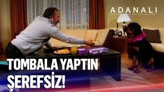 Adanalı yılbaşını köpeğiyle geçiriyor - Adanalı Efsanesi