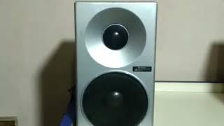 TECHNICS SPEAKERS SB-F2 FOR SALE