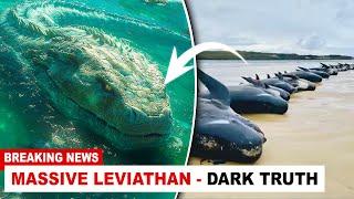 Ocean Dying Slowly‼️ Bible Prophecy Coming True! (Leviathan Reality)