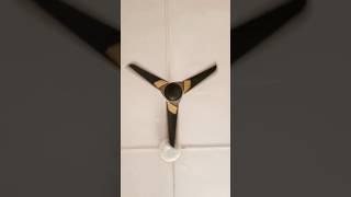 1200 mm POLYCAB aereo plus ceiling fan #ceilingfan #shorsfeed #gadgets