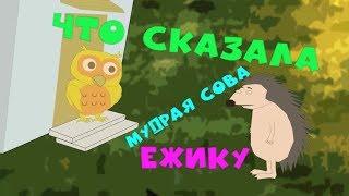 Милый Ежик и мудрая Сова/Чем помочь Ежику мудрой Сове?/Смешной мультфильм от Заяц Волк TV.