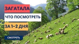 Загатала Азербайджан - Основные достопричетальности г. Загатала, что посмотреть