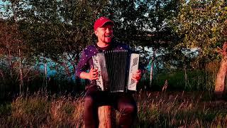 Звери Районы Кварталы (кавер). Баян -душевный инструмент/ Russian rock music on accordion (harmonic)