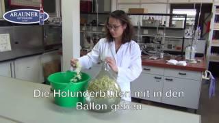 Holunderblütenwein selbstgemacht - Rezept (English Subtitles)