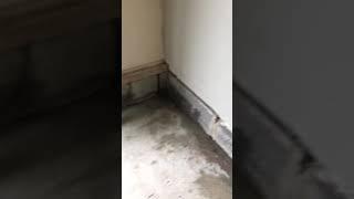 First termite treatment of 2020