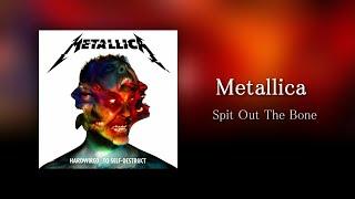 Metallica - Spit Out The Bone (Guitar Backing Track with Tabs)