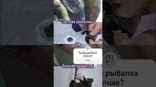 Какой сезон рыбалки лучше? #fishing#pike #рыбалка #щука #жерлицы #зимняярыбалка #спиннинг #ловлящуки