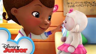 Lambie Practices Social Distancing! | Doc McStuffins | Disney Junior