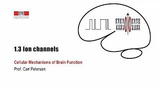 1.3 Ion channels