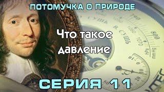 Потомучка о природе 11. Что такое давление