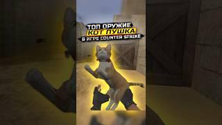 НЕОБЫЧНОЕ ОРУЖИЕ В КС 1.6 CATGUN  #shorts #cs #cat #zombie #guns