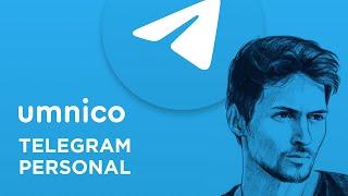 Telegram Integration to Umnico