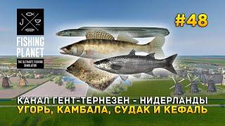 Канал Гент-Тернёзен - Нидерланды. Угорь, Камбала, Судак и Кефаль - Fishing Planet #48