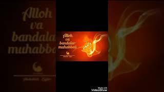 #AbdullohZUFAR Alloh va bandalar muhabbati (Abdulloh ZUFAR)