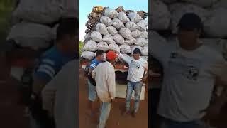 guitarreada en la chacra en Paraguay