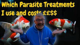 KOI POND**PARASITE TREATMENTS AND HOW I USE THEM**POND TEMPS**KOI FISH PRICES BUT CAN I TELL YOU
