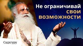 Как жить на пике своих возможностей?