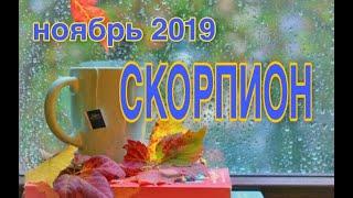 СКОРПИОН  НОЯБРЬ 2019  ТАРО ПРОГНОЗ #Расклады_на_тароВерховнаяЖрица