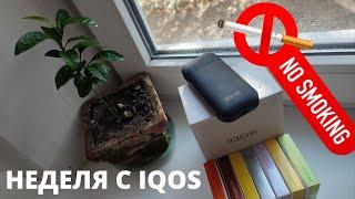 Неделя с IQOS 2.4 Plus. Курил сигареты 10 лет - перешёл на IQOS. Первые впечатления.